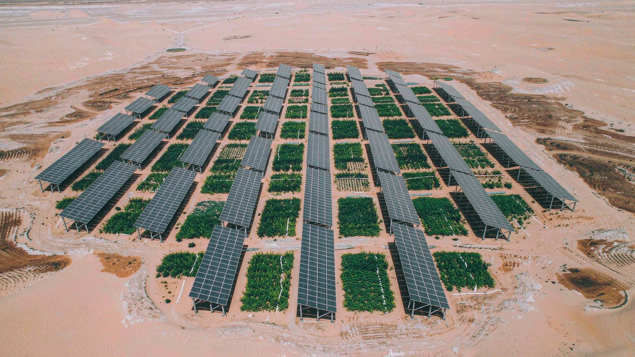 Aerial view of solar panel blocks interleaved with strips of green crops