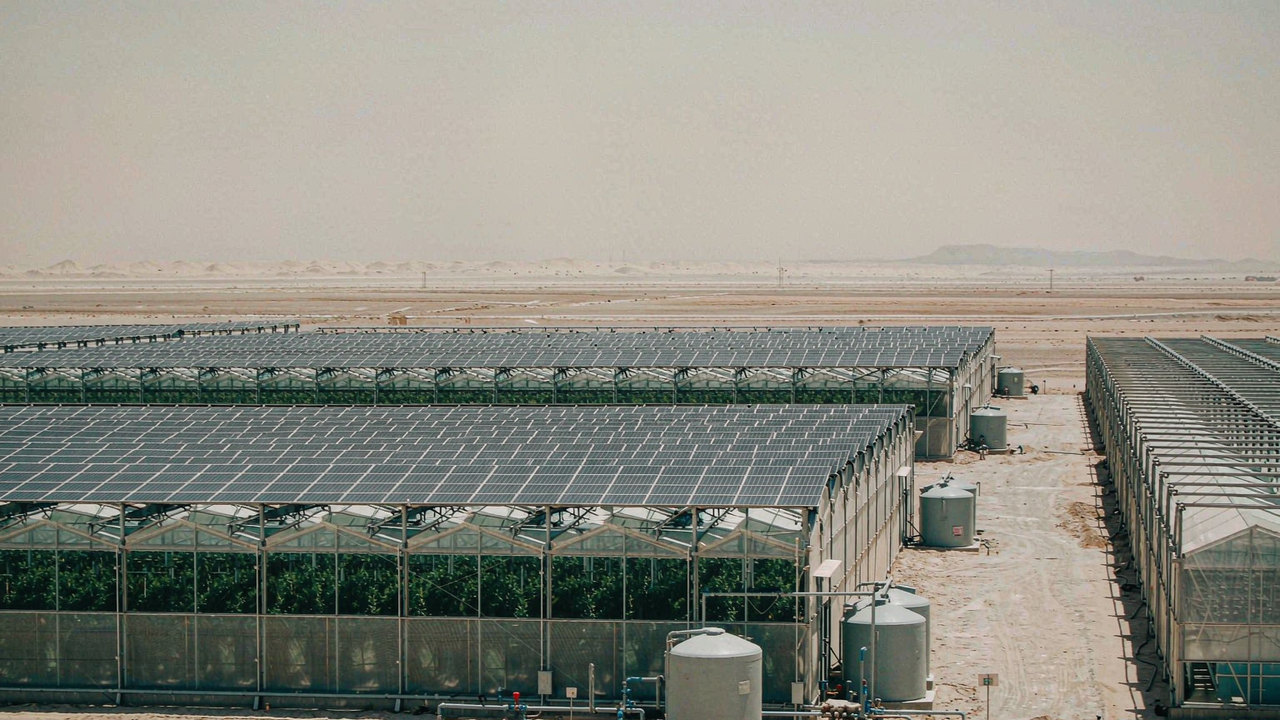 Greenhouse cluster with photovoltaic roofs and fertigation tanks