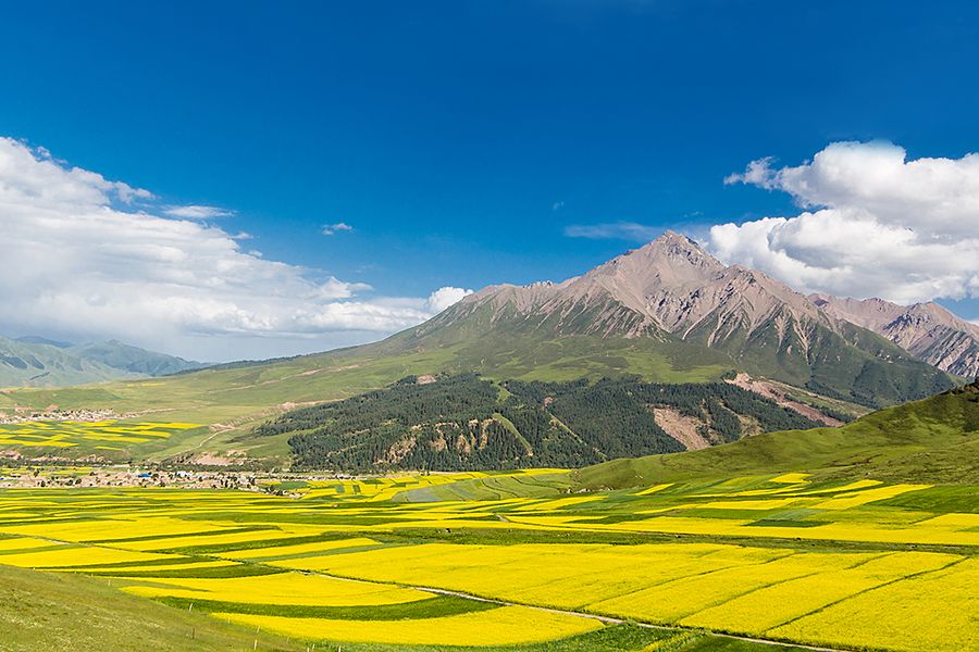 Dili Group highland farmland