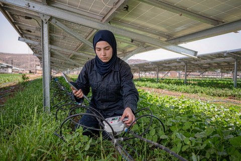 Smart irrigation under PV panels