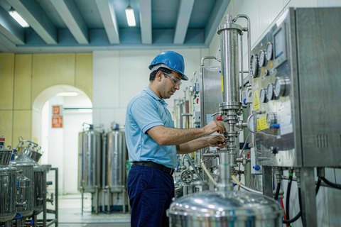 Agro-processing plant