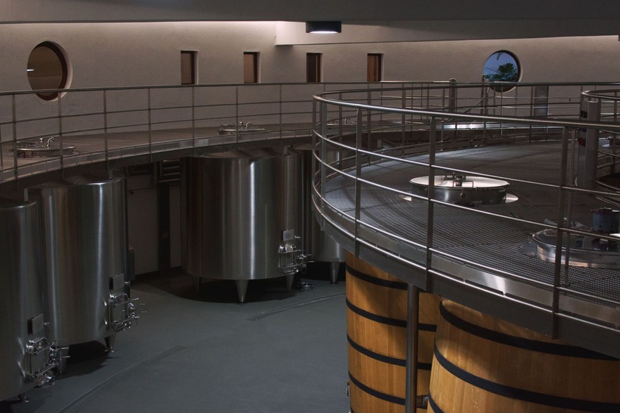 Modern cellar: wine vats and oak barrels