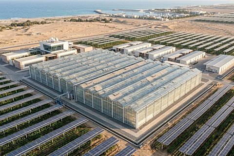 Smart greenhouse